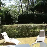 Bord De